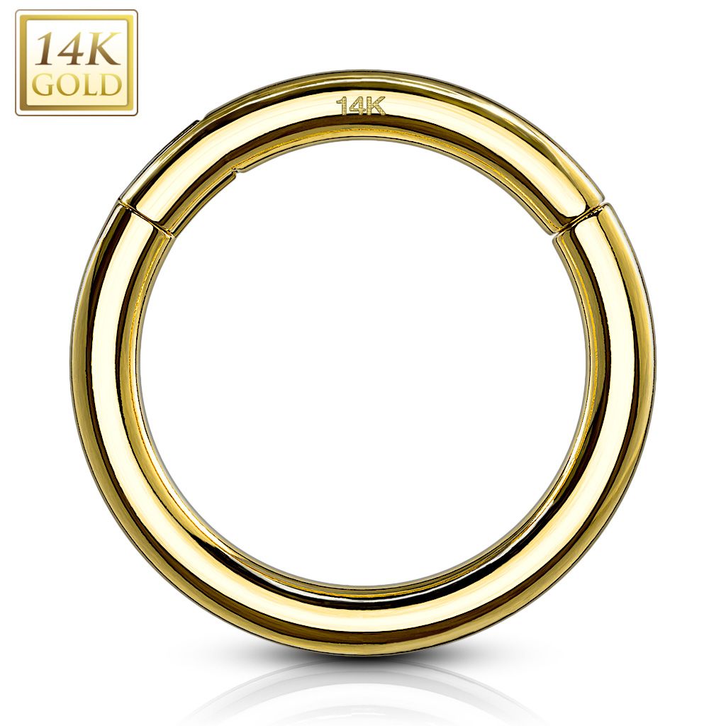 Precision Hinged Segment Rings - Artwell&Co