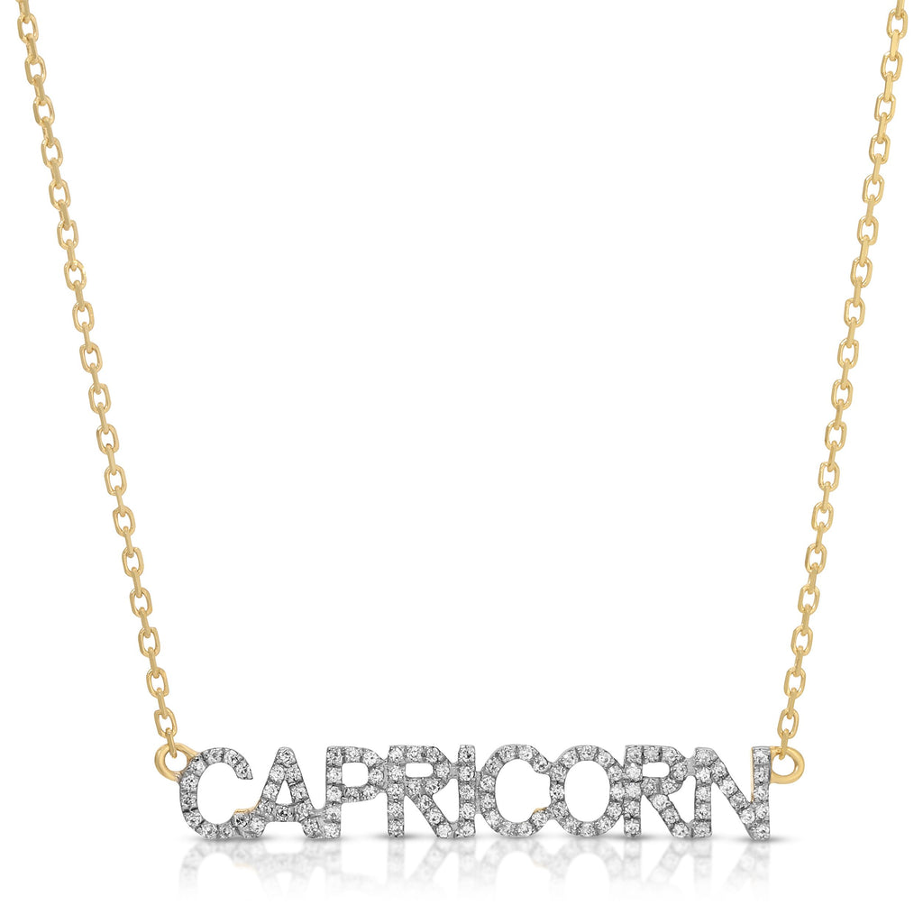 Capricorn Zodiac Charm Necklace - Artwell&Co
